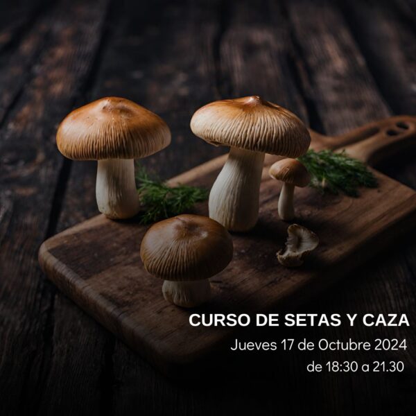 Curso setas y caza
